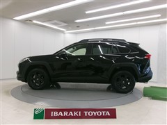 RAV4 アドベンチャー オフロート