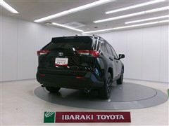 RAV4 アドベンチャー オフロート