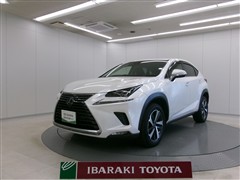 NX300 Iパッケージ