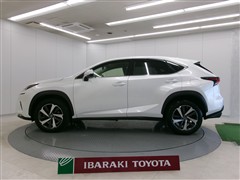 NX300 Iパッケージ