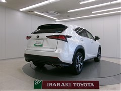 NX300 Iパッケージ