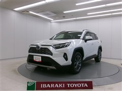 RAV4 ハイブリッドG