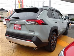 RAV4 アドベンチャー