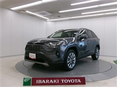 RAV4 G Zパッケージ