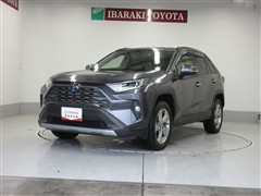 RAV4 ハイブリッドG