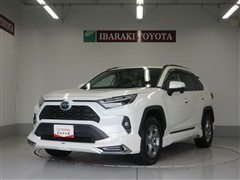 RAV4 ハイブリッドX