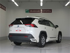 RAV4 ハイブリッドX