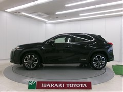 UX250h ヒョウジュンシャ