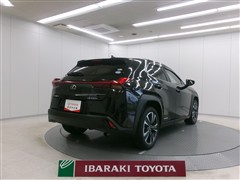 UX250h ヒョウジュンシャ