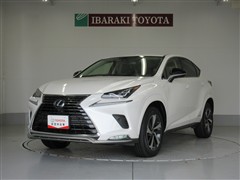 NX300h スパイス シック