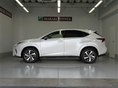 NX300h スパイス シック