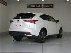 NX300h スパイス シック