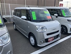 ムーヴキャンバス ストライプス G