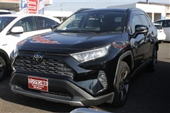 RAV4 G