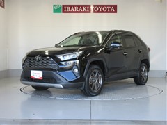 RAV4 G