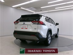 RAV4 ハイブリッドG