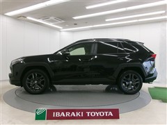 RAV4 HV アドベンチャー