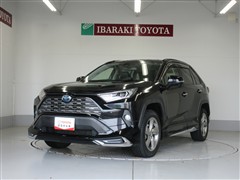 RAV4 ハイブリッドG