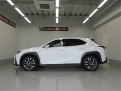 UX250h Fスポーツ