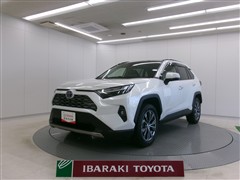 トヨタ RAV4 ハイブリッドG