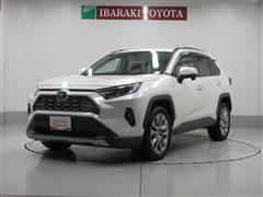 ＲＡＶ４