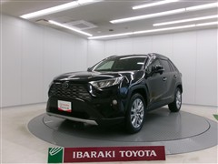 RAV4 G Zパッケージ