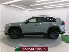 RAV4 アドベンチャー