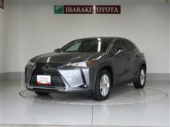 UX250h バージョンC