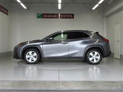 UX250h バージョンC