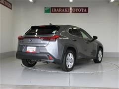 UX250h バージョンC