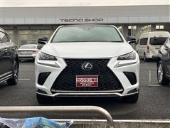 NX300h Fスポーツ