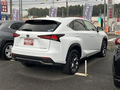NX300h Fスポーツ