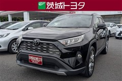 RAV4 G Zパッケージ