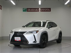 UX250h アーバンエレガンス