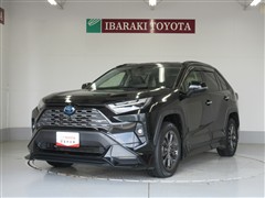 RAV4 ハイブリッドG