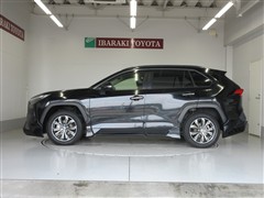 RAV4 ハイブリッドG