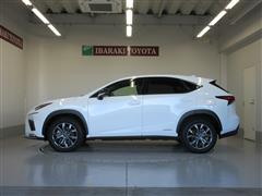NX300h Fスポーツ