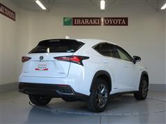 NX300h Fスポーツ