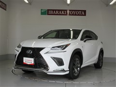 NX300h Fスポーツ