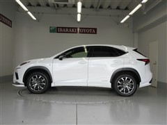 NX300h Fスポーツ