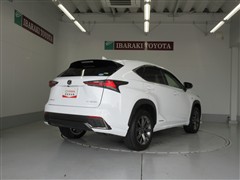 NX300h Fスポーツ