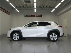UX250h バージョンC