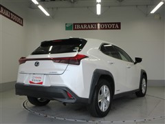 UX250h バージョンC