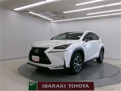NX300h Fスポーツ