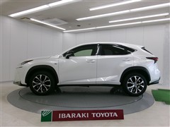 NX300h Fスポーツ