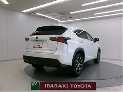 NX300h Fスポーツ