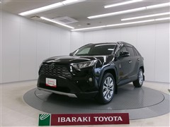 RAV4 G Zパッケージ