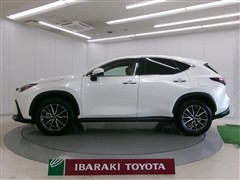 NX350h ヒョウジュンシャ
