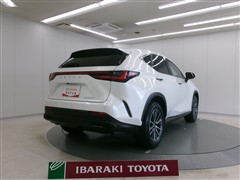 NX350h ヒョウジュンシャ