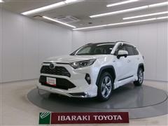 トヨタ RAV4 ハイブリッドG